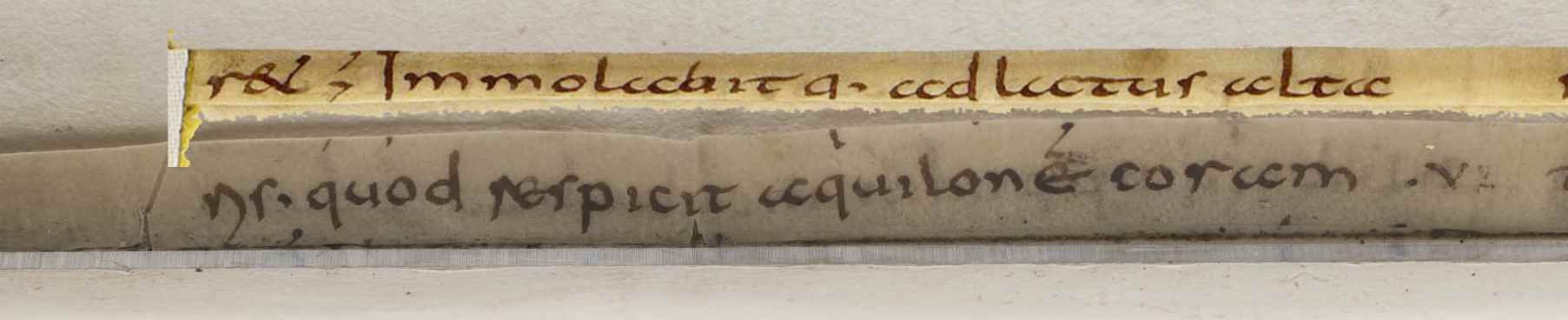 Detail from Mullins, “Carolingian Bible Fragments in Dublin”, p. 82, showing part of a quire guard from Auckland Libraries Heritage Collection, 1480 BIBL (IV) (above) against a similar fragment in situ in University College Dublin Special Collections, OFM XL (III), f. 240/241.